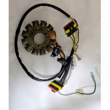 Gas Gas TXT Pro Ducati Stator